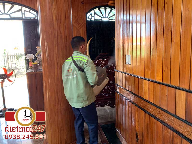 Diệt Mối 247