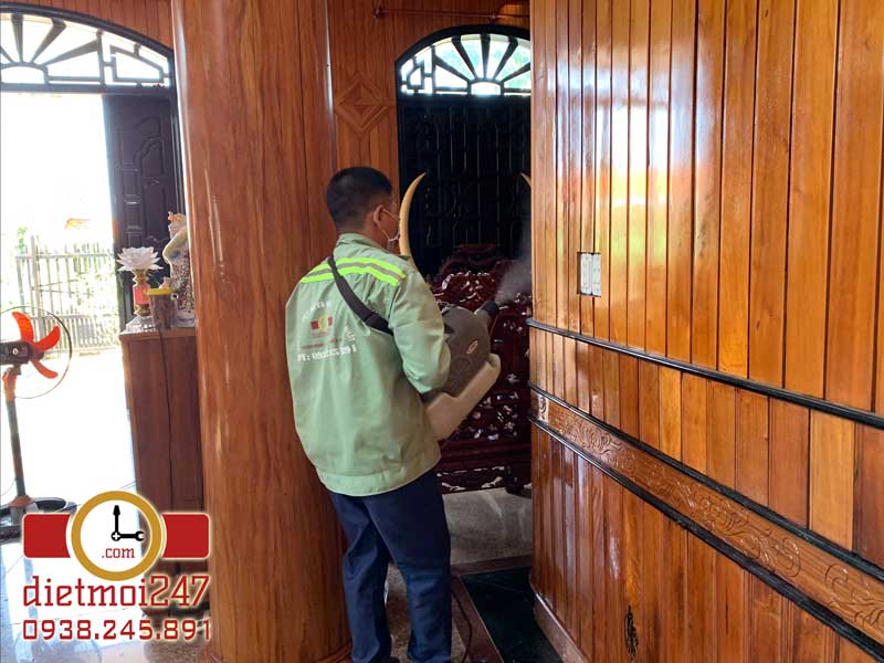 Diệt Mối 247