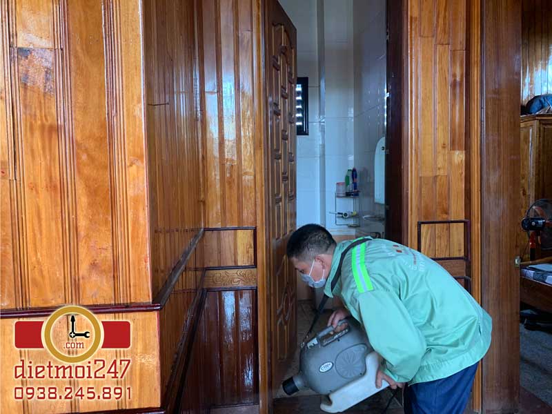 Diệt Mối 247