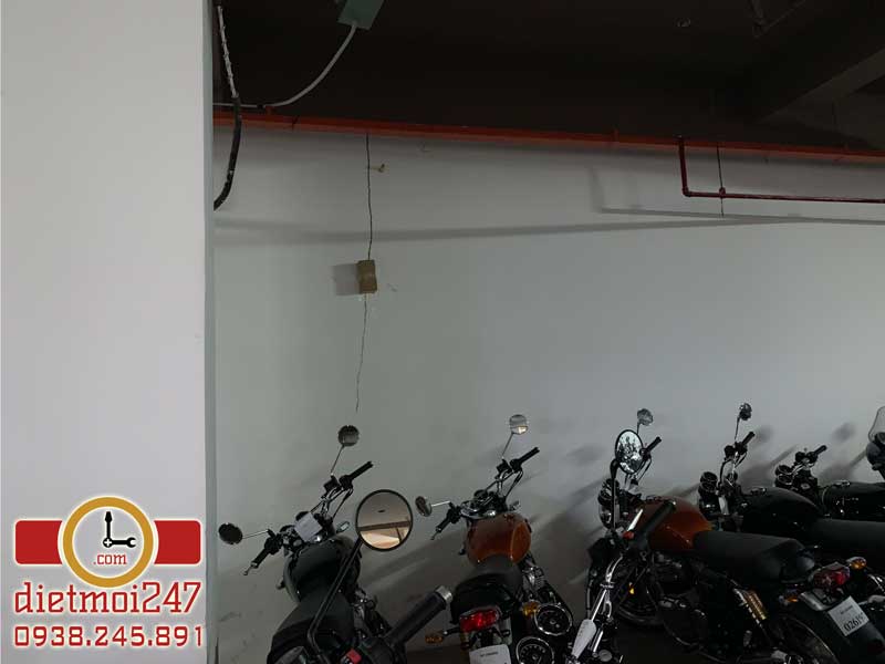 Diệt Mối 247
