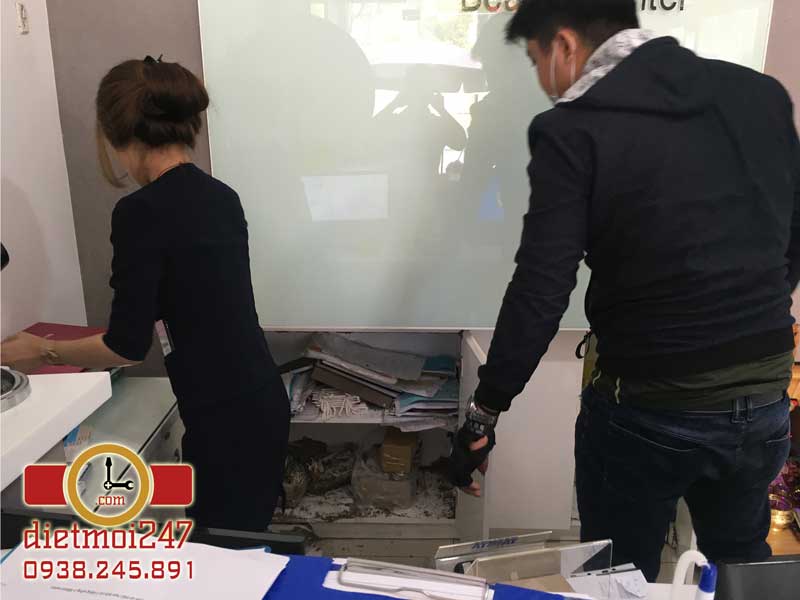 Diệt Mối 247