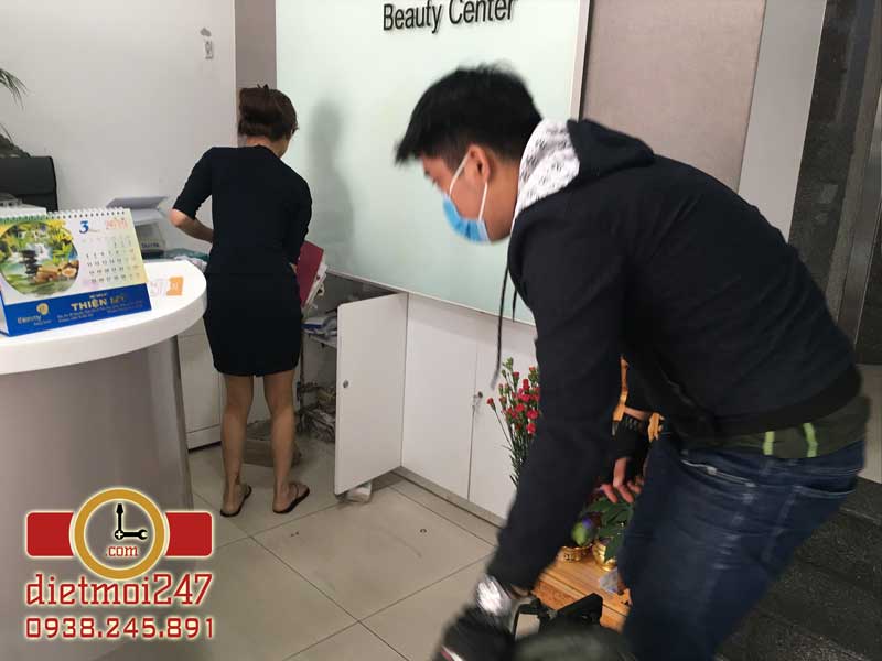 Diệt Mối 247