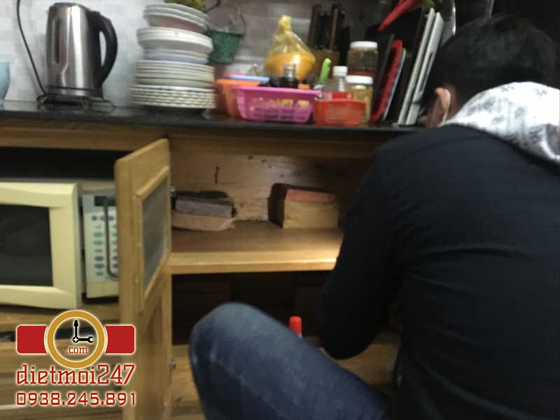 Diệt Mối 247
