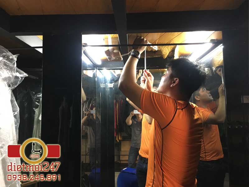 Diệt Mối 247