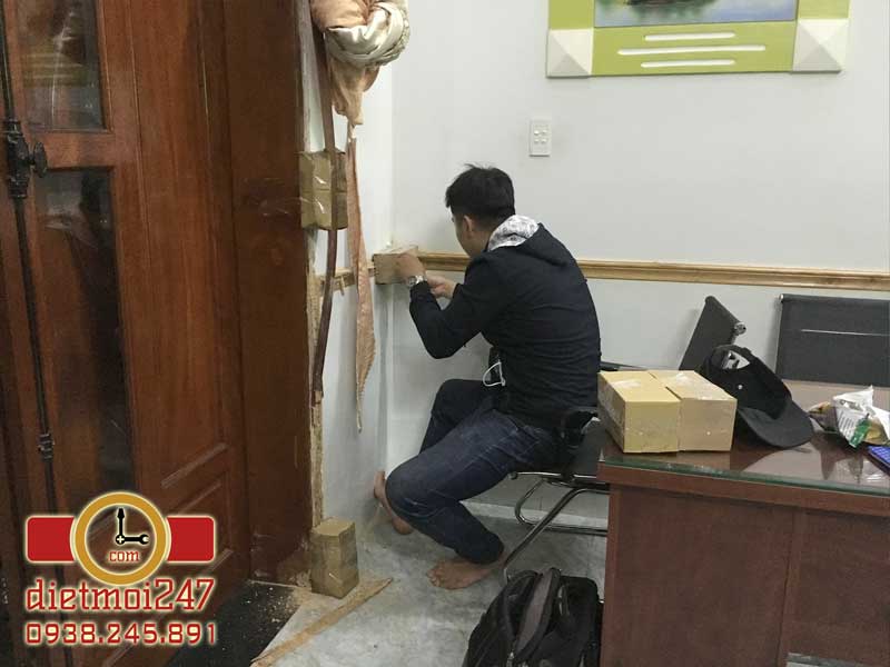 Diệt Mối 247