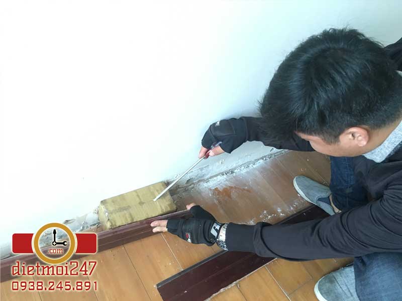 Diệt Mối 247