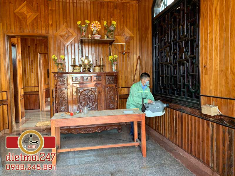 Diệt Mối 247