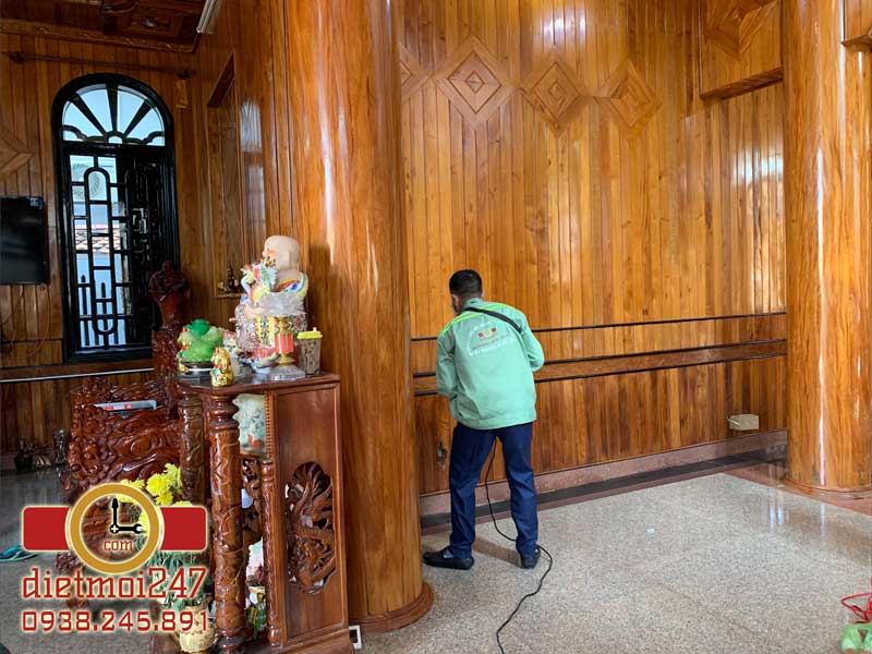 Diệt Mối 247