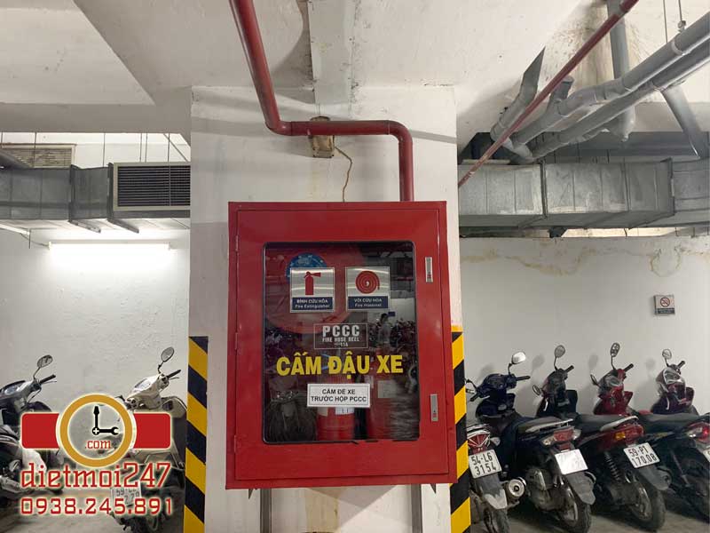 Diệt Mối 247