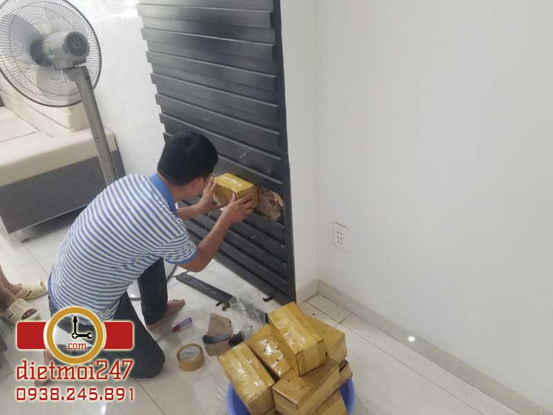 Diệt Mối 247