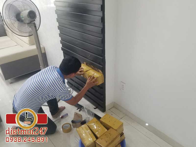 Diệt Mối 247