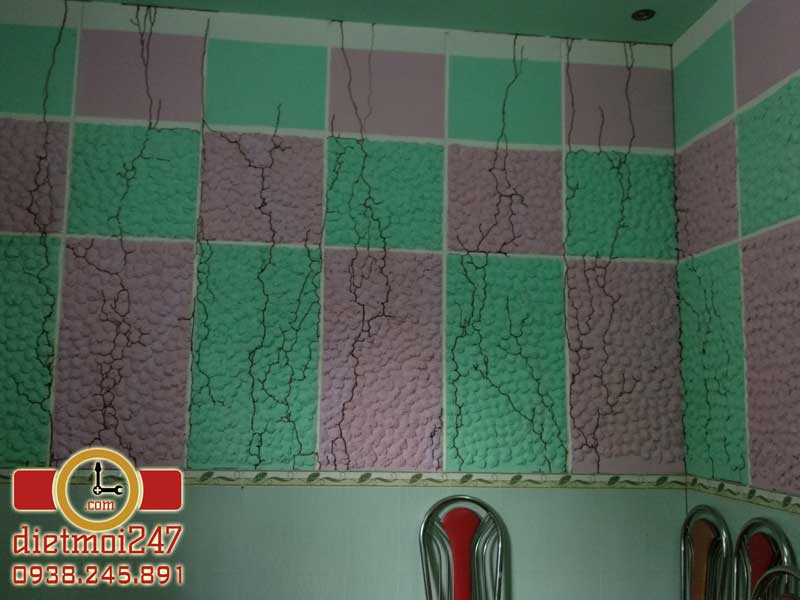 Diệt Mối 247