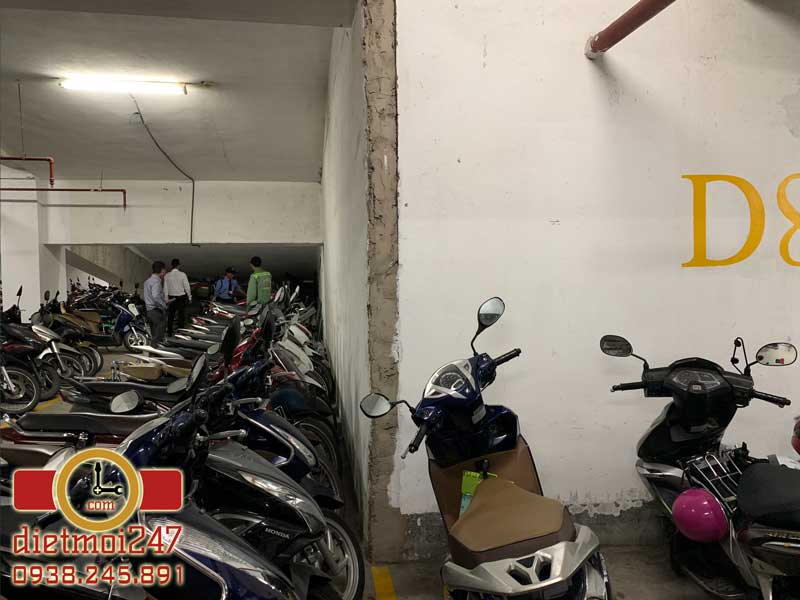 Diệt Mối 247