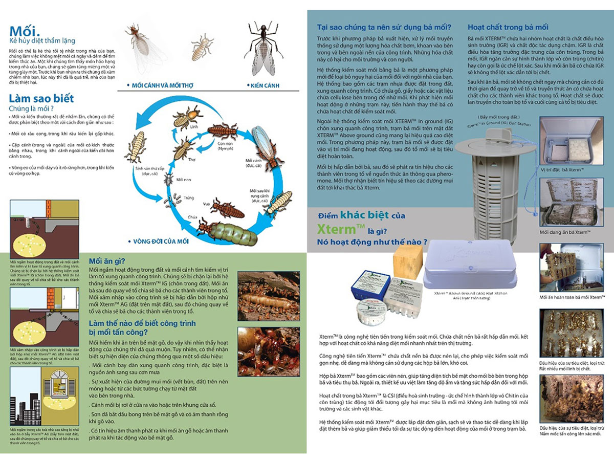 Xterm® là giải pháp kiểm soát mối (termites) hiệu quả và thân thiện với môi trường.